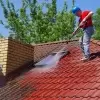 Get Your Roof Cleaned, Your Roof Will Thank You!