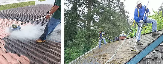 Roof Cleaning